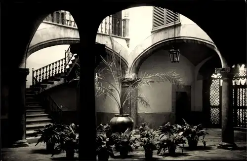 Ak Palma Mallorca Balearische Inseln, Patio de San Francisco y San Bernardo, Innenhof, Pflanzen