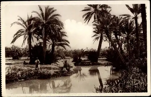 Ak Gabès Tunesien, Un coin d'Oasis, Oase, Palmen