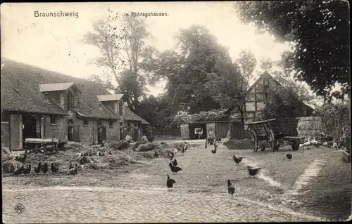 Ak Riddagshausen Braunschweig in Niedersachsen, Bauernhof, Hühner