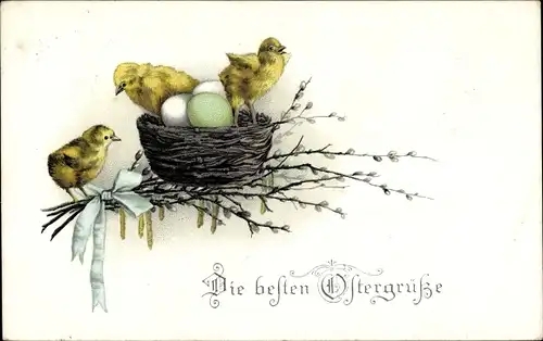 Ak Glückwunsch Ostern, Küken, Nest, Eier, Weidenkätzchen
