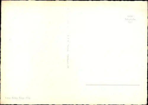 Ak Schauspielerin Edith Mill, Portrait