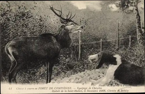 Ak Foret de Compiègne Oise, Chasse a courre, equipage de Chezelles, Hallali de la Saint Hubert 1908