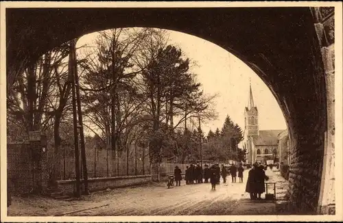 Ak Beauraing Wallonien Namur, Entrée du Parc, Arbre