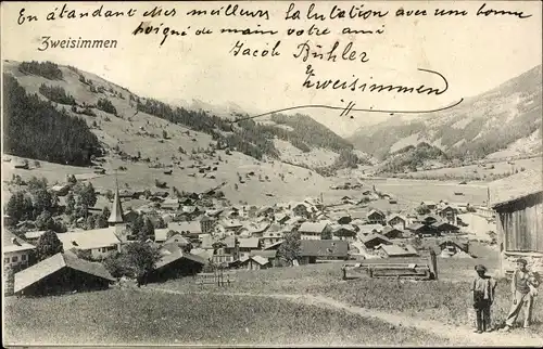 Ak Zweisimmen Kanton Bern, Panorama