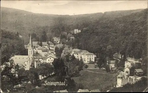 Ak Schlangenbad im Taunus Hessen, Panorama