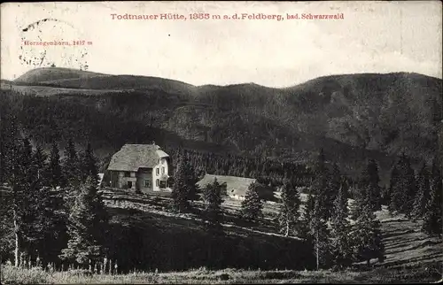 Ak Feldberg im Schwarzwald, Todtnauer Hütte, Panorama