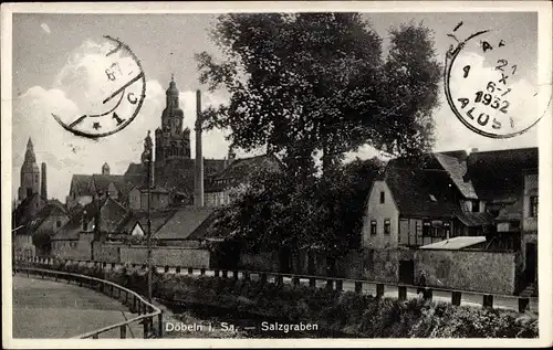 Ak Döbeln in Sachsen, Salzgraben