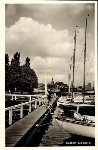 Ak Kappeln an der Schlei, Anleger, Panorama