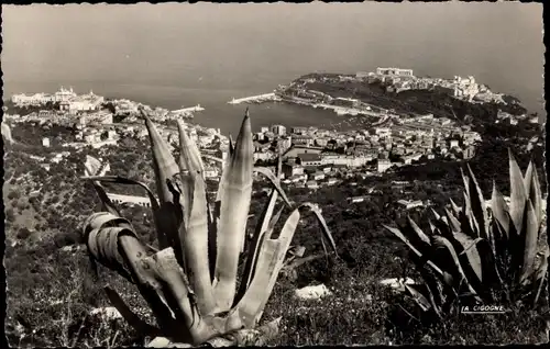 Ak Monaco, La Principaute de Monaco, vue de La Turbie, Höhensicht auf Hafenstadt