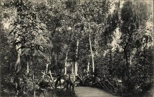 Ak Aalst Alost Ostflandern, Sous-bois au Nouveau Parc