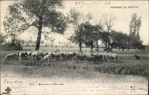 Ak Paysage du Centre, Moutons au Paturage, Schafherde auf der Weide