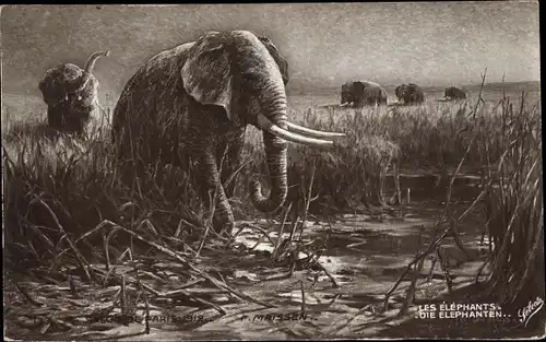 Künstler Ak Maissen, F., Les Elephants, Elefanten