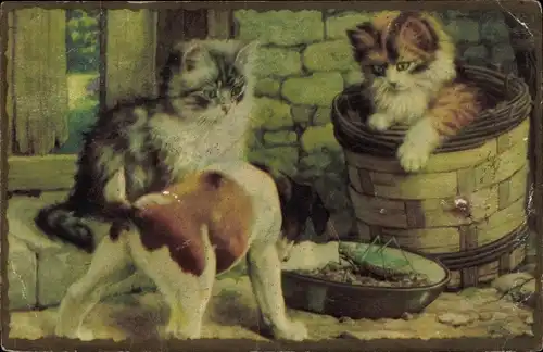 Ak Zwei kleine Katzen und ein Hund betrachten einen Grashüpfer