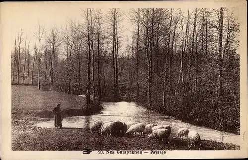Ak Nos Campagnes, Paysage, Schäfer mit Schafherde