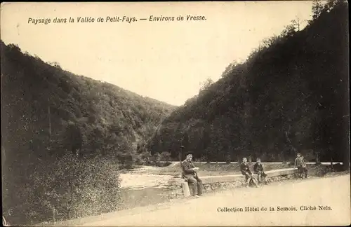 Ak Bohan Vresse sur Semois Wallonien Nanur, Paysage dans la Vallee de Petit-Fays, Mauer