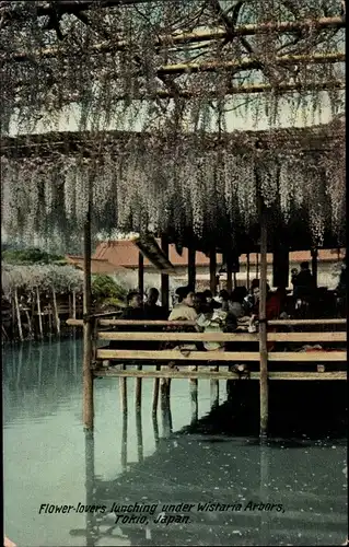 Ak Tokyo Tokio Japan, Flower lovers lunching under Wistaria Arbors