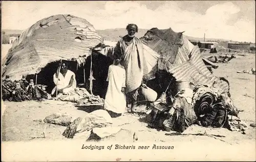 Ak Assouan Assuan Ägypten, Lodgings of Bicharis near Assouan, Lager, Einheimische