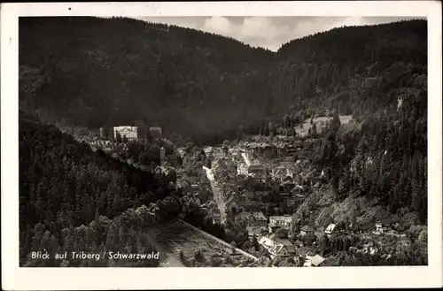 Ak Triberg im Schwarzwald, Panorama