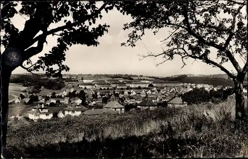 Ak Niederauerbach Zweibrücken Rheinland Pfalz, Teilansicht