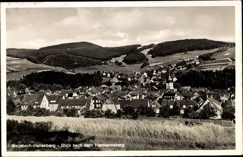 Ak Steinbach Hallenberg im Thüringer Wald, Blick nach dem Hermannsberg