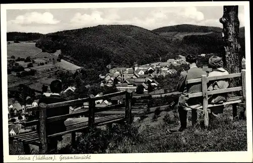 Ak Steina Bad Sachsa im Südharz, Gesamtansicht