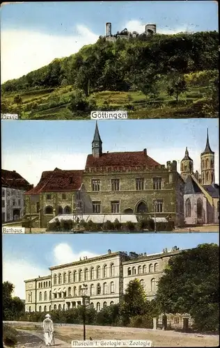 Ak Göttingen in Niedersachsen, Panorama, Burg Plesse, Rathaus, Museum für Geologie und Zoologie