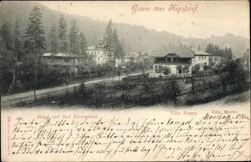 Ak Kipsdorf Altenberg im Erzgebirge, Hotel Fürstenhof, Villa Emmy, Villa Marie