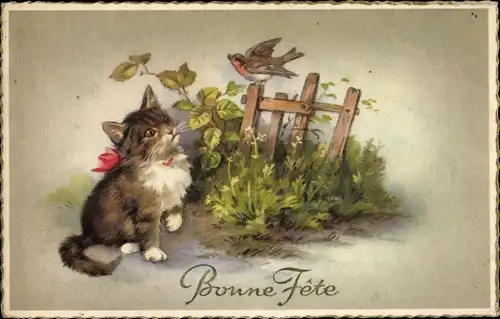 Ak Glückwunsch, Katze beobachtet einen Vogel