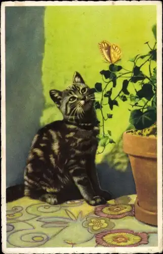 Ak Getigerte Hauskatze beobachtet gelben Schmetterling