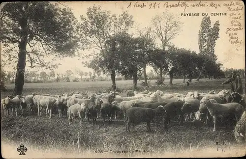 Ak Paysage du Centre, Troupeau de Moutons, Schafherde auf der Weide