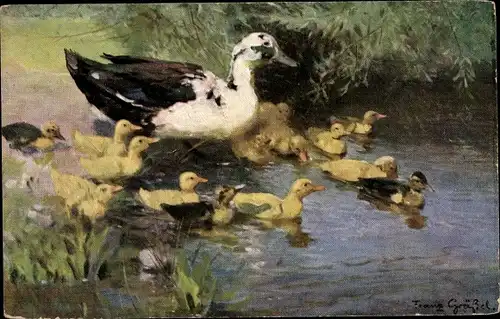 Künstler Ak Gräßel, Franz, Ente mit Küken, Uferpartie