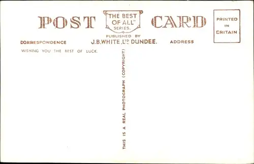 Ak Schottland, In the Scottish Highlands, Rinder