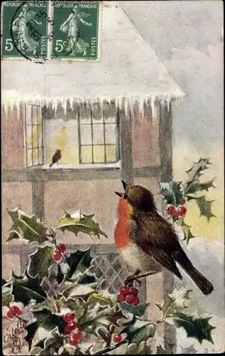 Künstler Ak Rotkehlchen auf Stechpalmenzweigen, Vogel