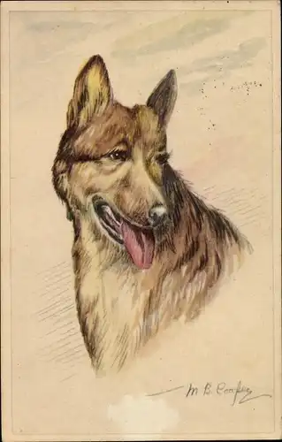 Künstler Ak Cooper, M. B., Hundeportrait, Schäferhund