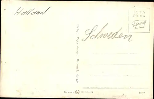 Ak Halmstad Schweden, Panorama