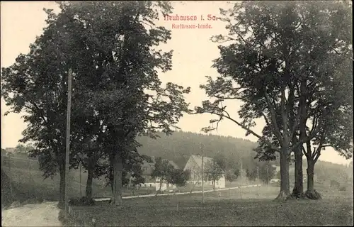 Ak Neuhausen im Erzgebirge, Kurfürstenlinde