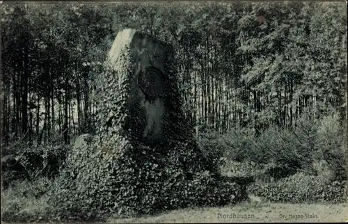 Ak Nordhausen am Harz, Dr. Hasse-Stein