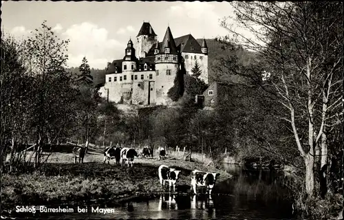 Ak Landpoststempel Waldesch über Mayen