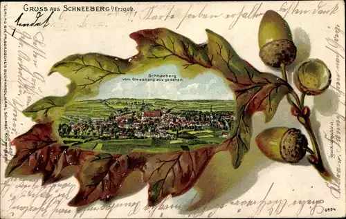 Präge Eichenblatt Litho Schneeberg im Erzgebirge, Blick auf den Ort vom Gleesberg aus gesehen