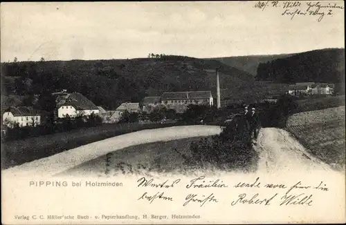 Ak Pipping Holzminden an der Weser, Blick auf den Ort