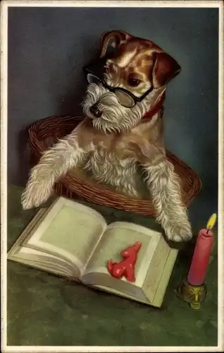 Ak Vermenschlichter Terrier mit Brille liest ein Buch