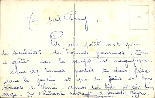 Ak Vermenschlichter Terrier mit Brille liest ein Buch