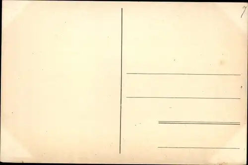 Ak Hundeportrait, Boxer mit Halsband