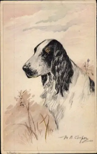 Künstler Ak Cooper, M. B., Spaniel, Hundeportrait, Langhaar
