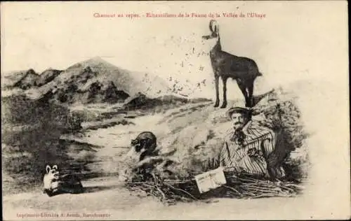 Ak Vallee de l'Ubaye Alpes de Haute Provence, Chasseur au repos, Echantillons de la Faune, Gämse