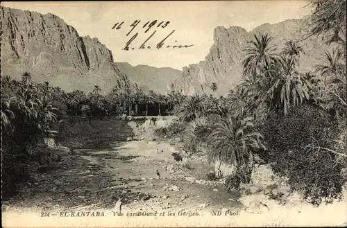 Ak El Kantara Algerien, Vue sur l'Oued et les Gorges, Tal, Palmen