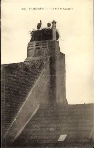 Ak Phalsbourg Pfalzburg Lothringen Moselle, Un Nid de Cigognes