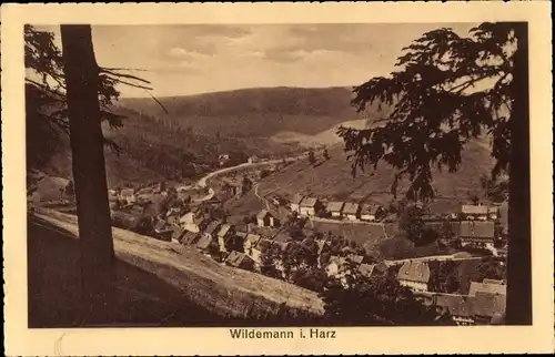 Ak Wildemann Clausthal Zellerfeld im Oberharz, Gesamtansicht