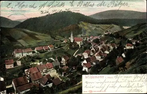 Ak Wildemann Clausthal Zellerfeld im Oberharz, Gesamtansicht