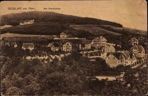 Ak Goslar am Harz, Gesamtansicht, Am Steinberg